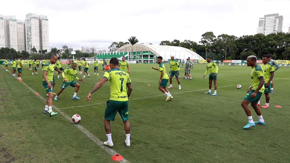 Palmeiras se vê próximo do ápice físico e adota atenção especial com viagens na Libertadores - Globo.com